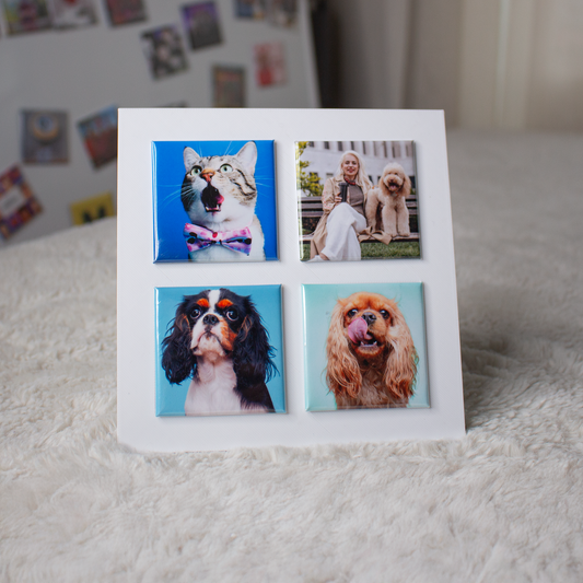Photo Magnet Frame
