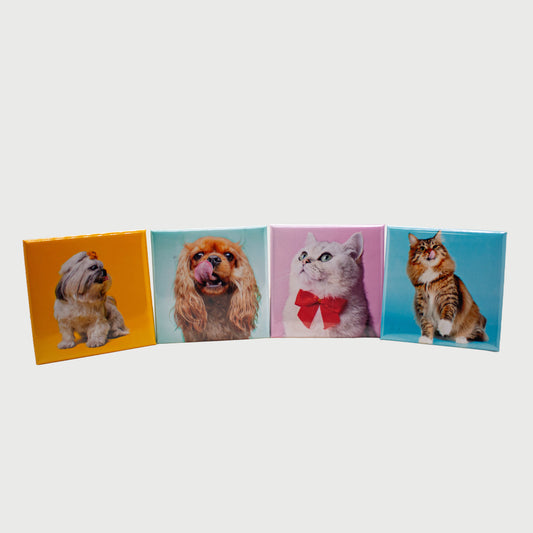 Custom Photo Magnets